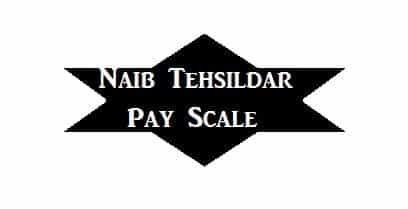 naib-tehsildar-pay-scale-salary-allowance-matrix-after-7th-pay-commission