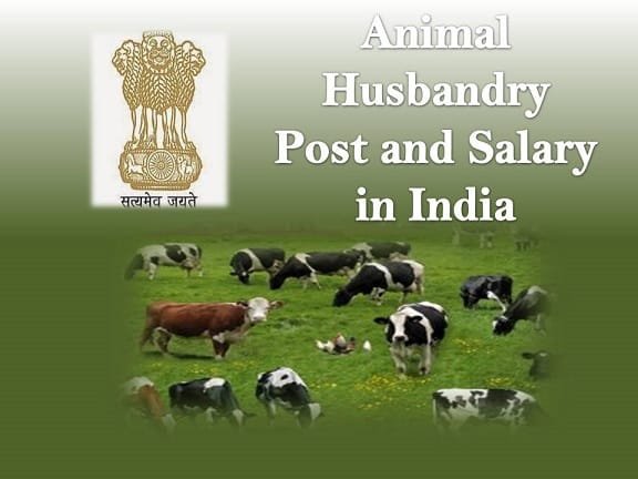 Animal Husbandry Post and Salary in India